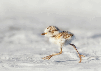 noac23qgcwhdkwbcqint