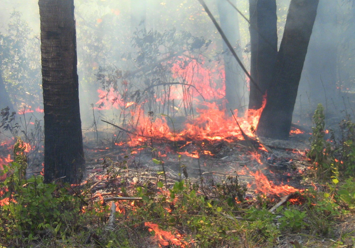 nzo4lecfuuztr8avyapv