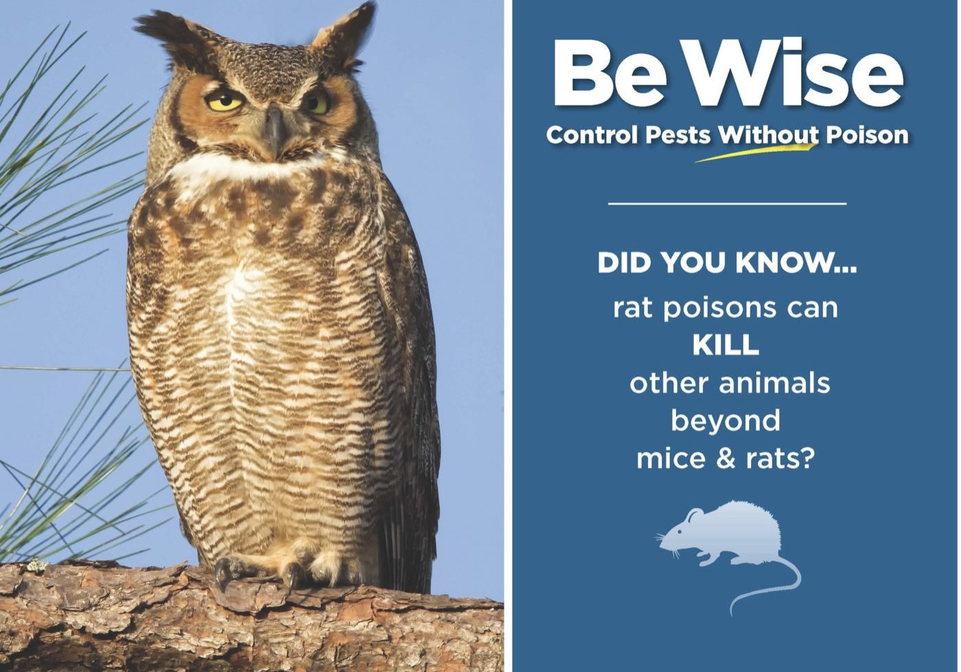 ofbztpm79oq4xud6vdqz