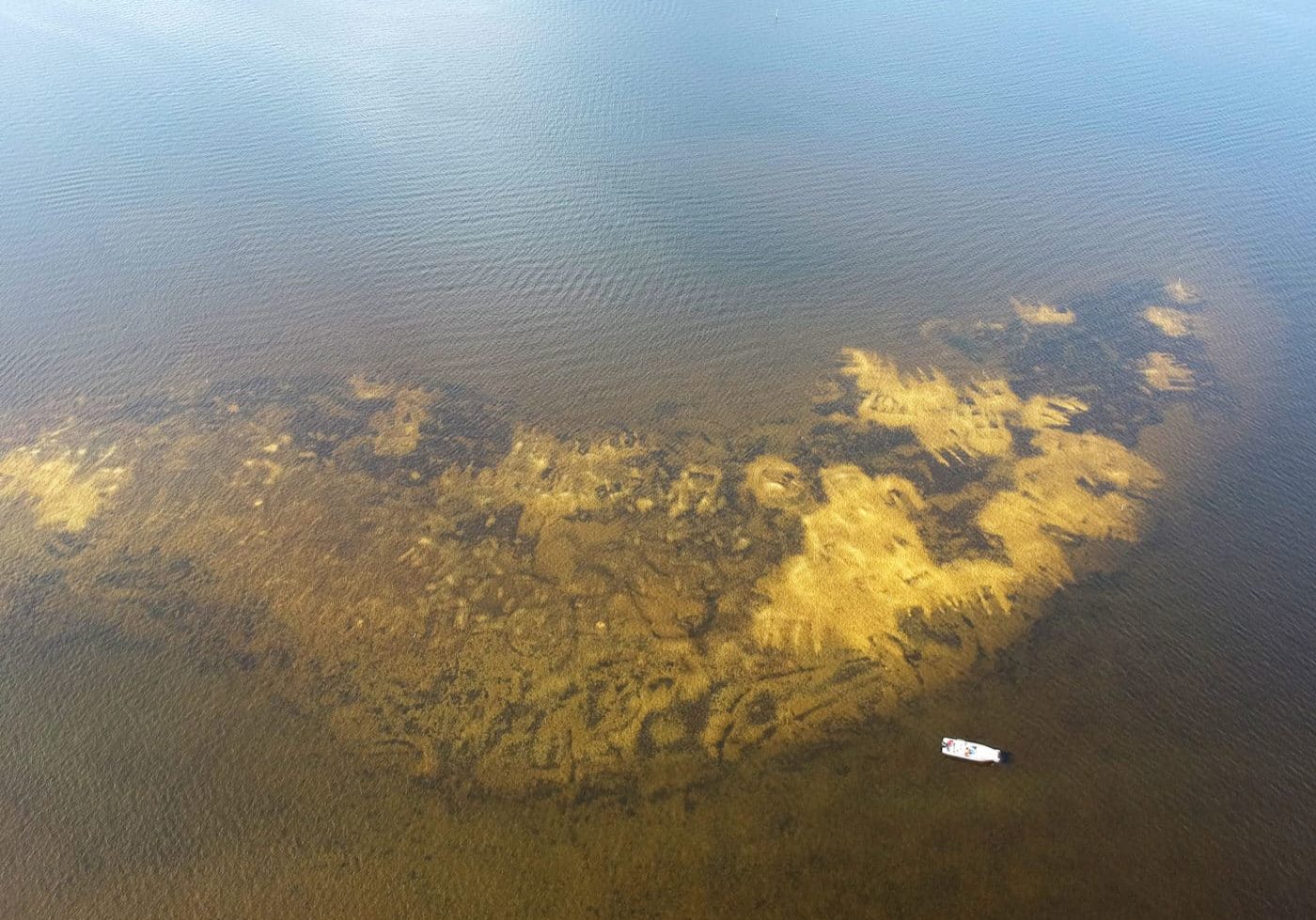 aerial shot of sccf restored oyster reef in San Carlos bay near sanibel and Cape Coral