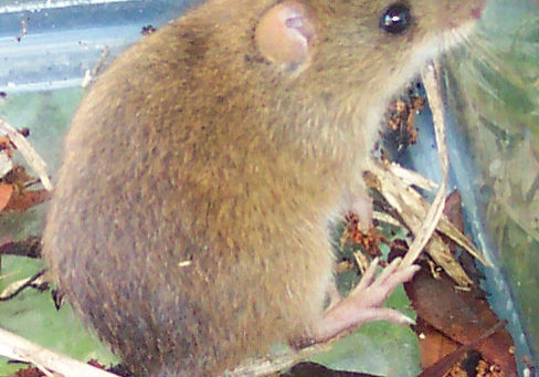 p4ksvjkm8jbt9t2og056