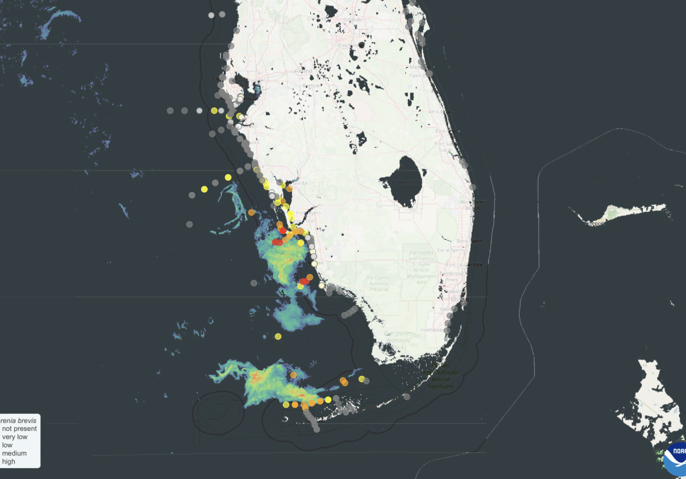 red tide noaa satellite map