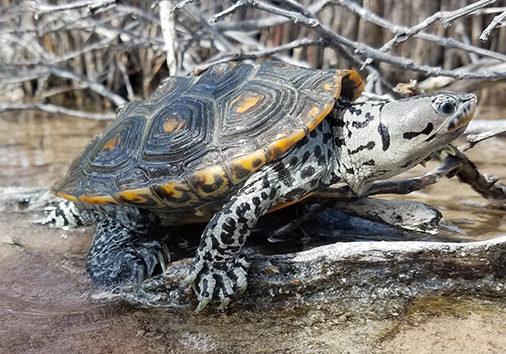 vqtmp8l2rvpd7yhbifgx