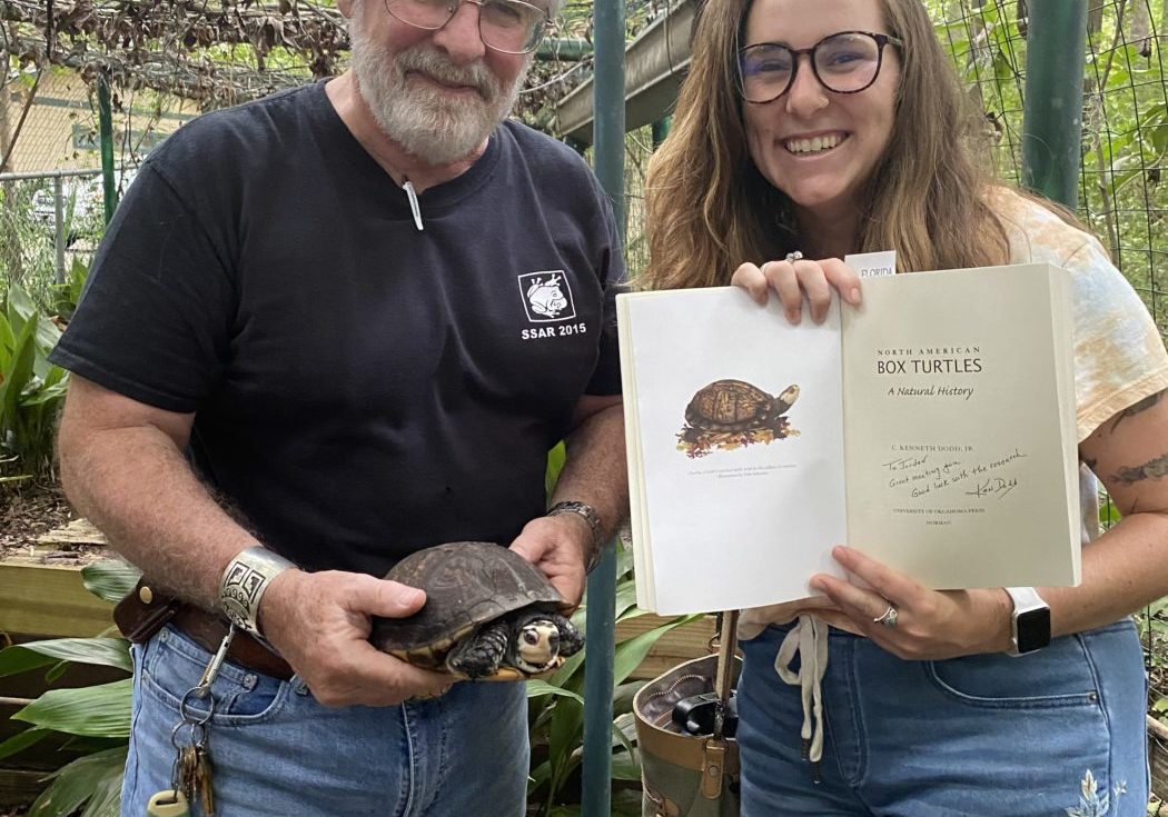 xwcfusxedan663bgyn0o