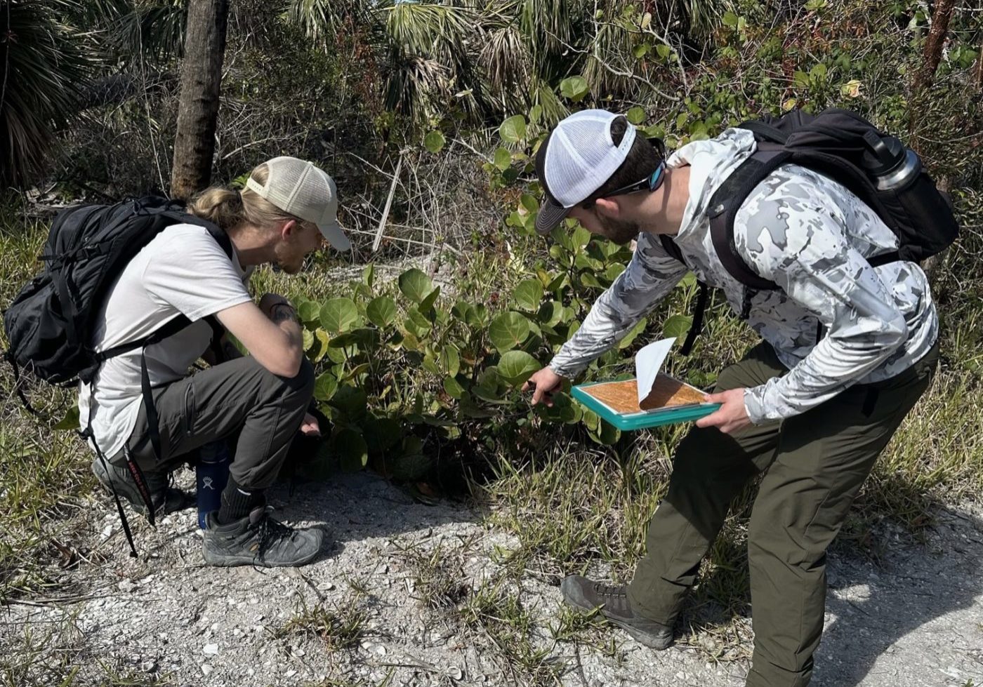 y5sxaxnf8k1erzwonrtv